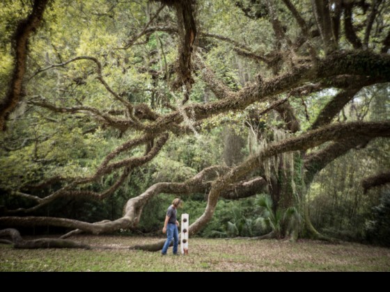 Bryan Lafaye [Photo by Zack Smith from 'My Louisiana Muse']