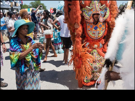 Black Feathers [Photo by Ryan Hodgson-Rigsbee]