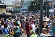 Crowds